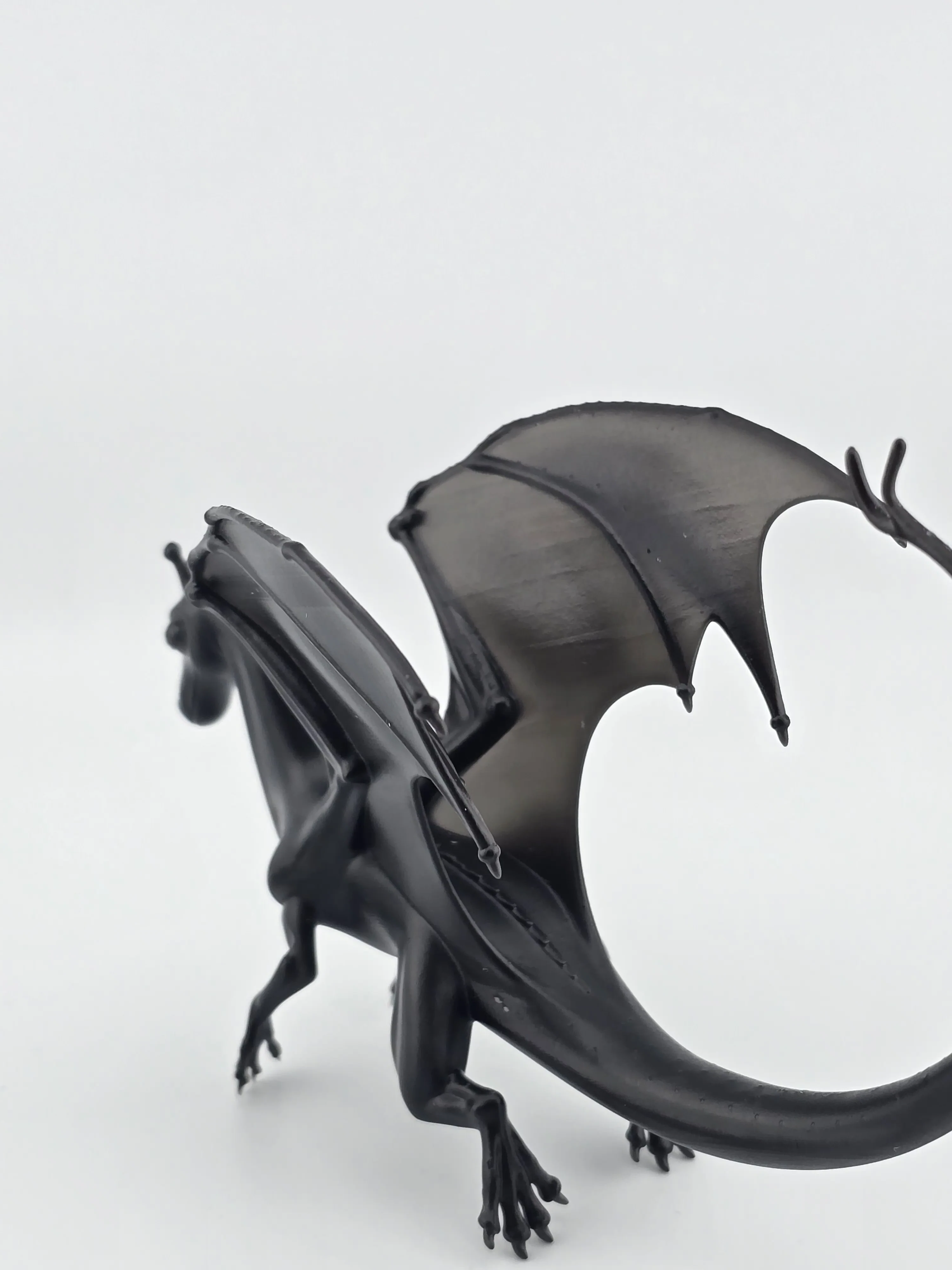 Pern Style Dragons – Image 3